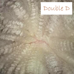 Double D_Fleece 1.png