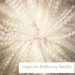 Platinum Raider_Fleece 1.jpg
